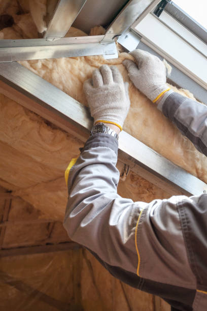 Best Insulation Removal Services  in Mccook, NE