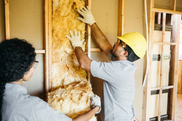 Best Energy-efficient Insulation  in Mccook, NE