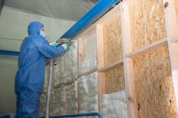 Best Garage Insulation Installation  in Mccook, NE